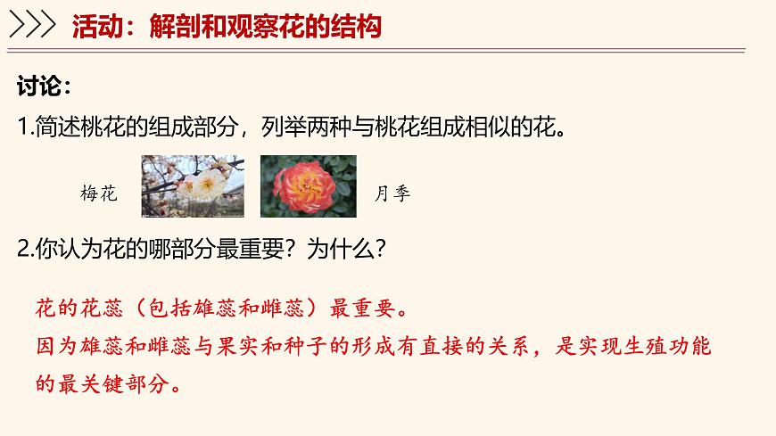 5.3 生殖器官的生长 课件-2024-2025学年北师大版生物七年级上册第7页
