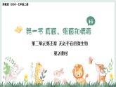 5.1 真菌、細(xì)菌和病毒（第2課時(shí)）課件-2024-2025學(xué)年蘇教版生物七年級(jí)上冊(cè)