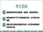 5.1 真菌、細(xì)菌和病毒（第2課時(shí)）課件-2024-2025學(xué)年蘇教版生物七年級(jí)上冊(cè)