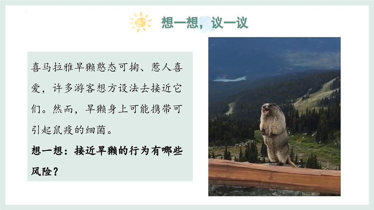 5.1 真菌、细菌和病毒（第2课时）课件-2024-2025学年苏教版生物七年级上册第3页