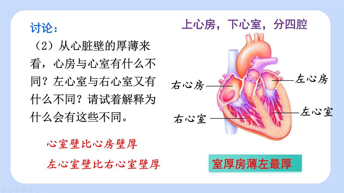 4.4.3 输送血液的泵——心脏（第1课时）课件-2024-2025学年人教版生物七年级下册第8页