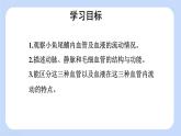 4.4.2 血流的管道——血管 課件-2024-2025學(xué)年人教版生物七年級(jí)下冊(cè)