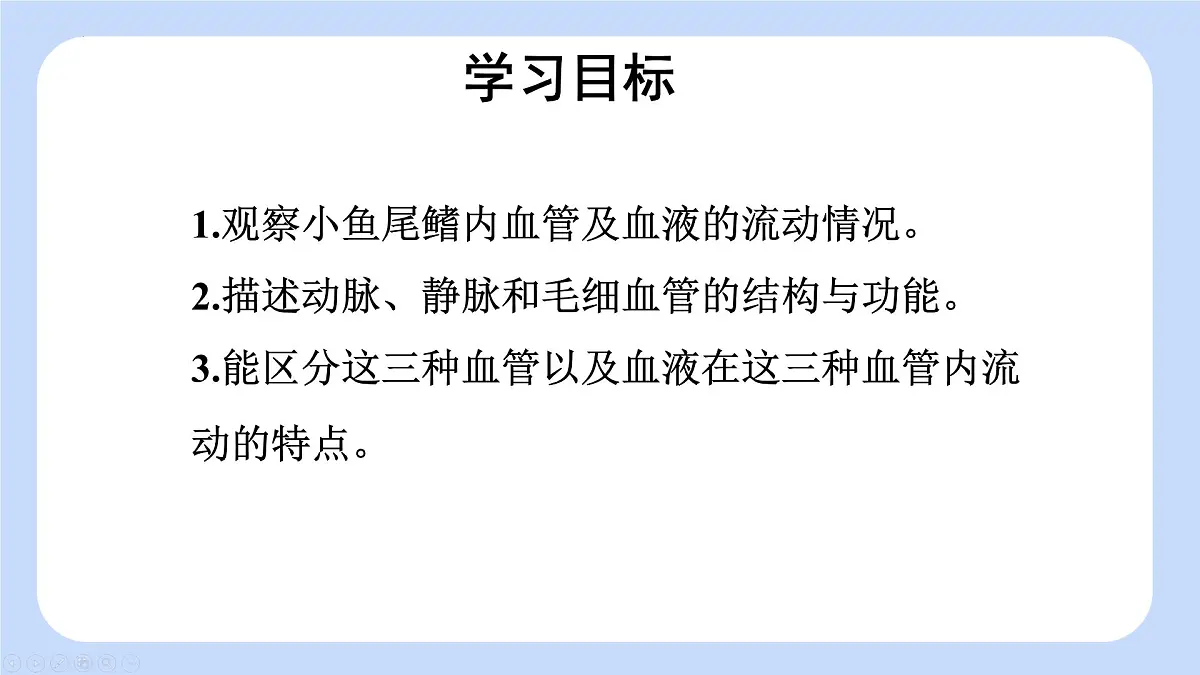 4.4.2 血流的管道——血管 课件-2024-2025学年人教版生物七年级下册第2页
