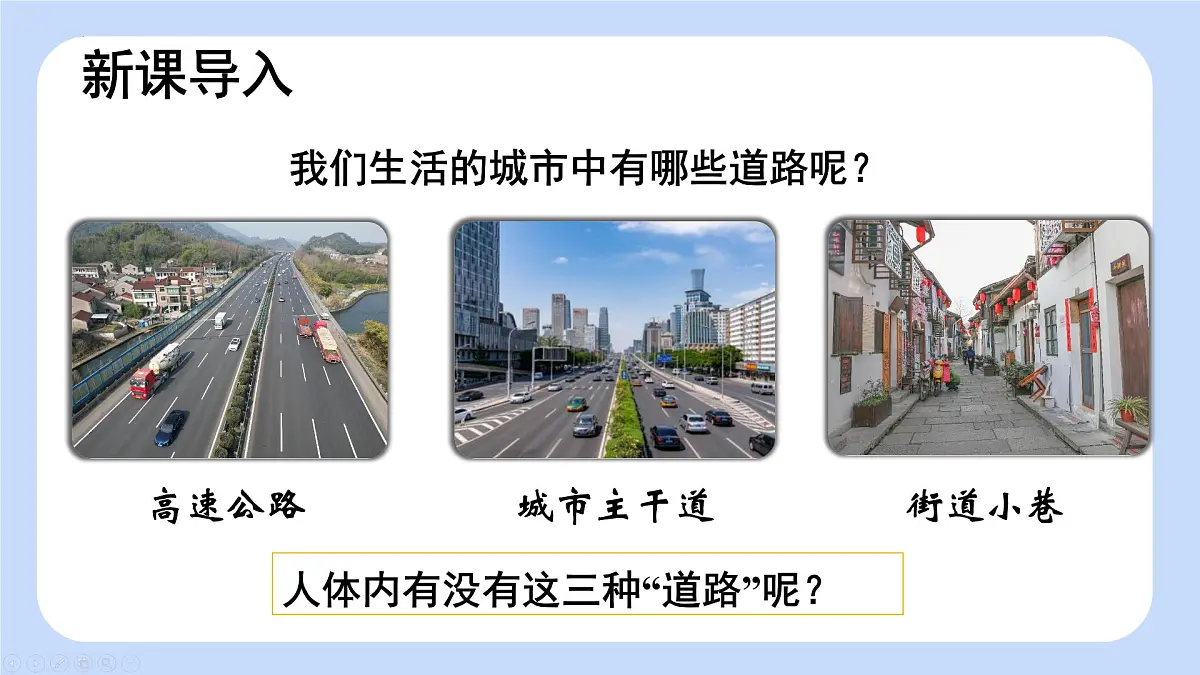 4.4.2 血流的管道——血管 课件-2024-2025学年人教版生物七年级下册第3页
