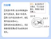 4.4.2 血流的管道——血管 課件-2024-2025學(xué)年人教版生物七年級(jí)下冊(cè)