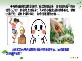 5.2 神經(jīng)調(diào)節(jié)的基本方式（課件）2025學(xué)年七年級(jí)生物下冊(cè)冀少版