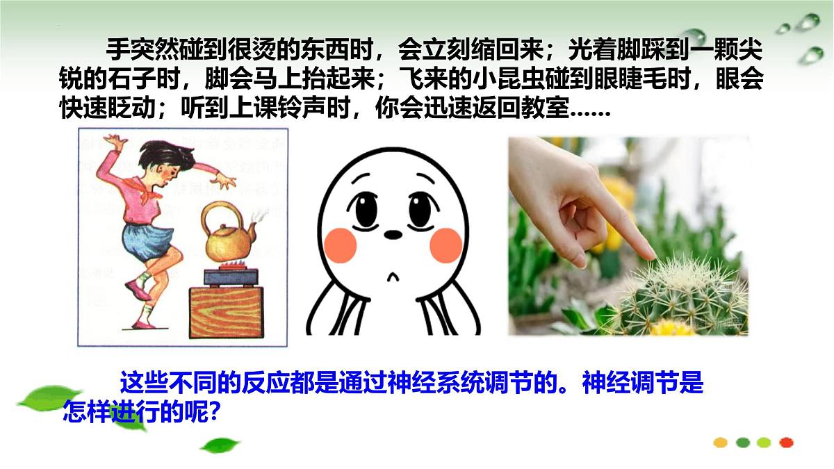 5.2 神经调节的基本方式（课件）2025学年七年级生物下册冀少版第2页