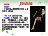 5.2 神經(jīng)調(diào)節(jié)的基本方式（課件）2025學(xué)年七年級(jí)生物下冊(cè)冀少版