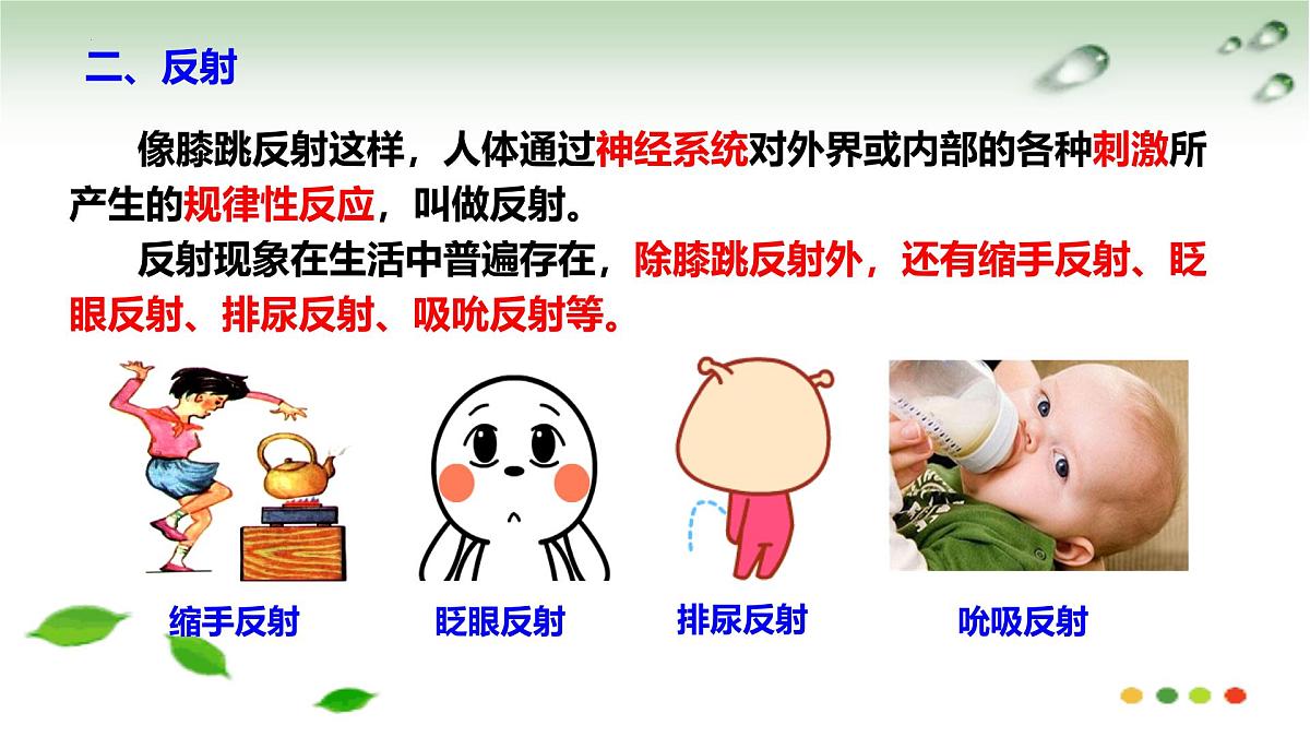 5.2 神经调节的基本方式（课件）2025学年七年级生物下册冀少版第6页