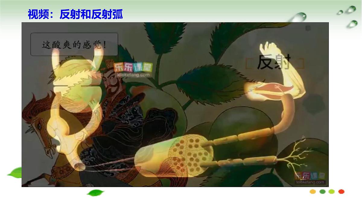 5.2 神经调节的基本方式（课件）2025学年七年级生物下册冀少版第8页