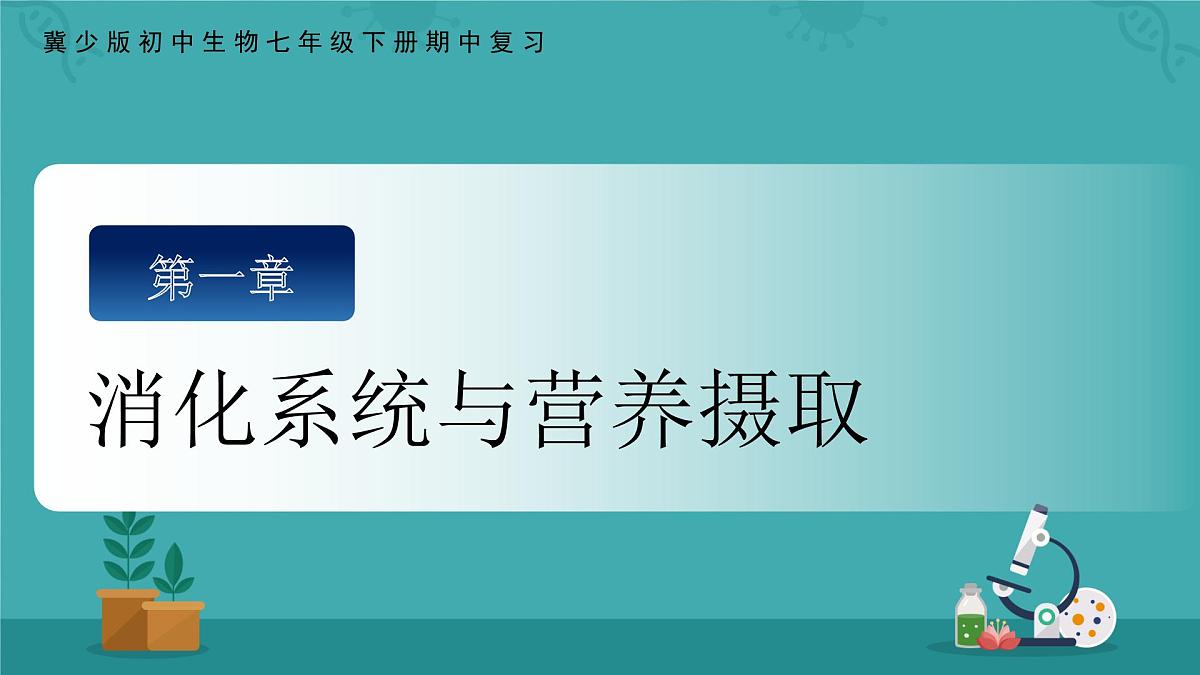 2024-2025学年冀少版生物七年级下册期中复习课件第2页