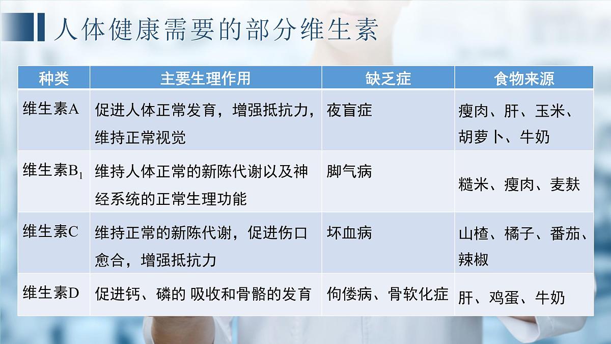 2024-2025学年冀少版生物七年级下册期中复习课件第6页