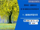 11.2 植物的呼吸作用（第1課時）（課件）2025學年七年級生物下冊蘇教版