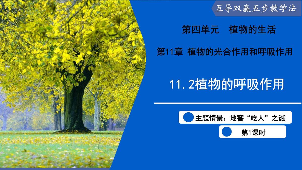 11.2 植物的呼吸作用（第1课时）（课件）2025学年七年级生物下册苏教版第1页
