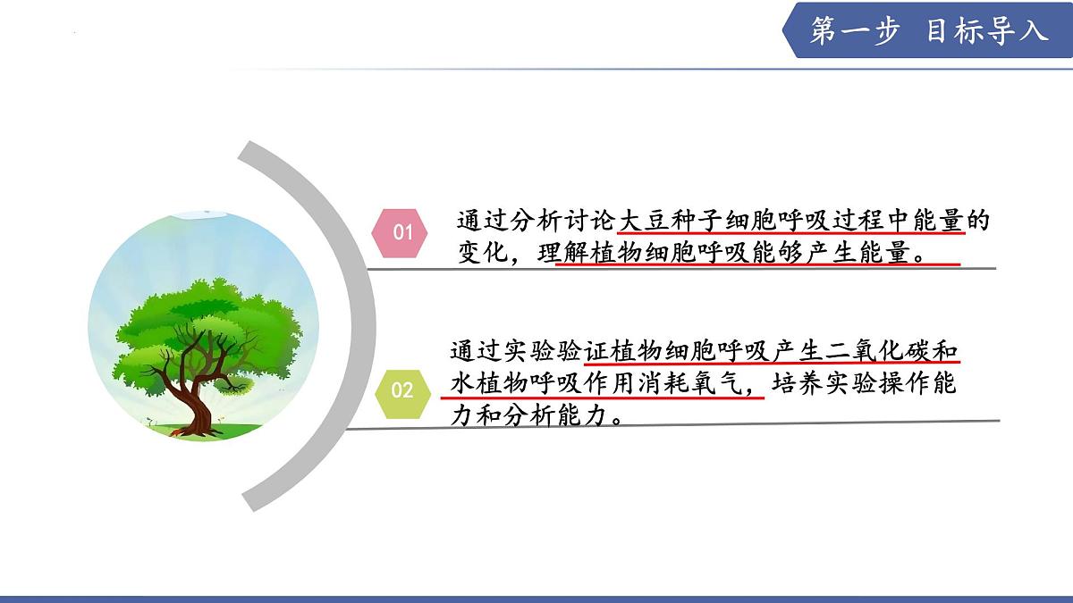 11.2 植物的呼吸作用（第1课时）（课件）2025学年七年级生物下册苏教版第2页