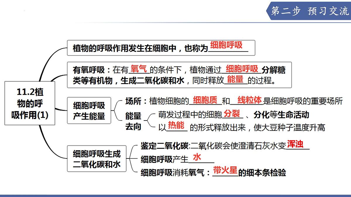 11.2 植物的呼吸作用（第1课时）（课件）2025学年七年级生物下册苏教版第3页