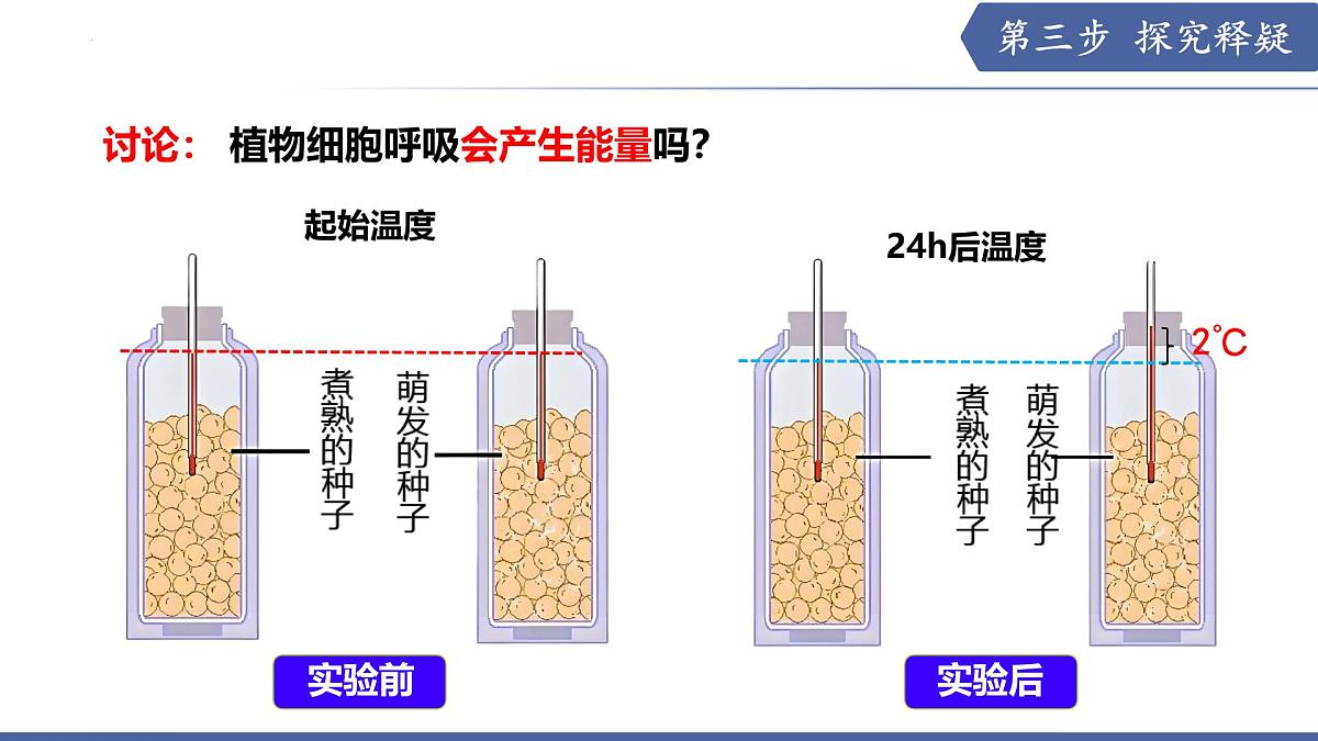 11.2 植物的呼吸作用（第1课时）（课件）2025学年七年级生物下册苏教版第6页
