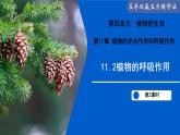 11.2 植物的呼吸作用（第2課時）（課件）2025學年七年級生物下冊蘇教版