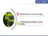 11.2 植物的呼吸作用（第2課時）（課件）2025學年七年級生物下冊蘇教版