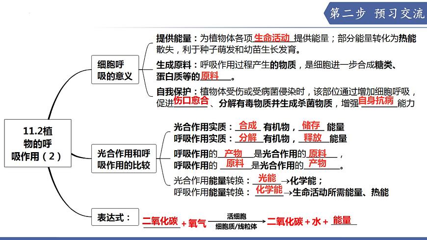 11.2 植物的呼吸作用（第2课时）（课件）2025学年七年级生物下册苏教版第3页