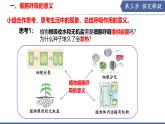 11.2 植物的呼吸作用（第2課時）（課件）2025學年七年級生物下冊蘇教版