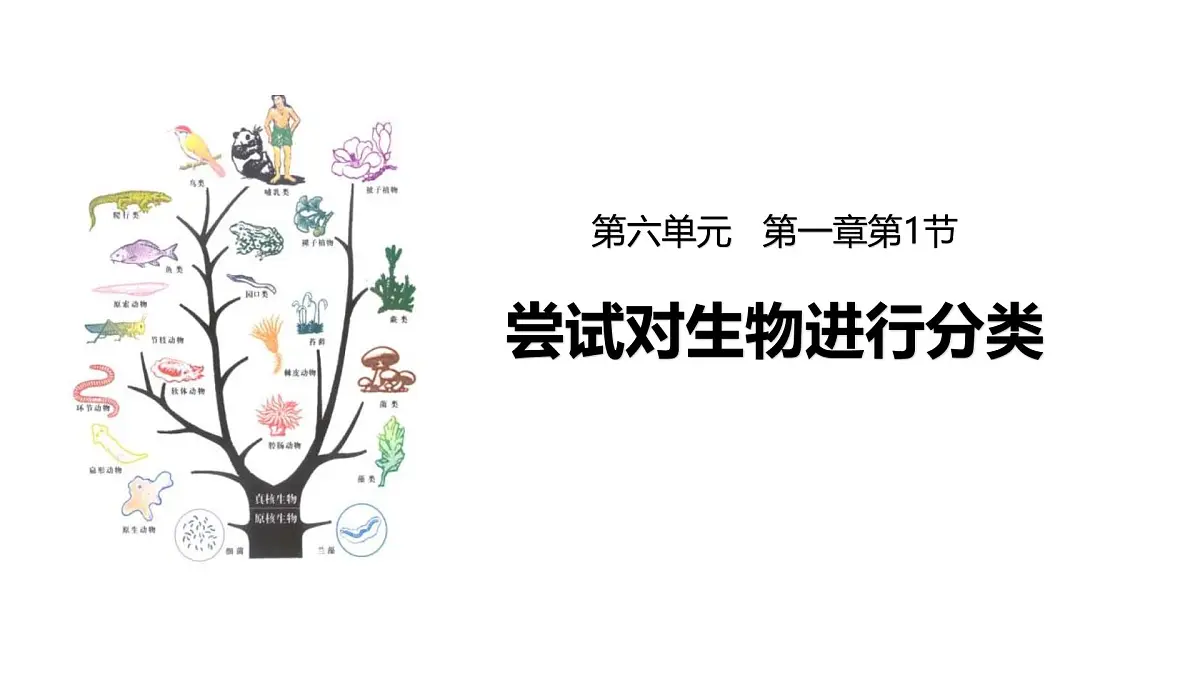 人教版（2024）生物七年级上册7.4.1尝试对生物进行分类课件第1页