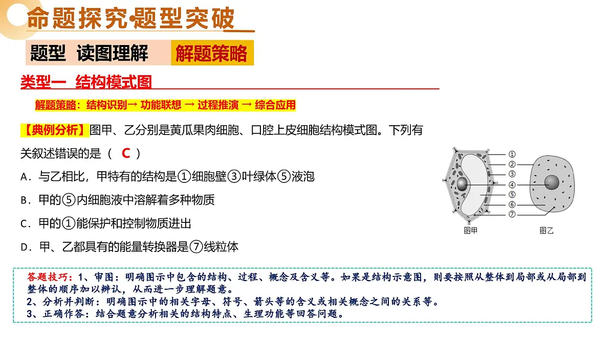 题型01+读图理解（精讲课件） 2025年中考生物二轮复习讲练测（全国通用）第5页