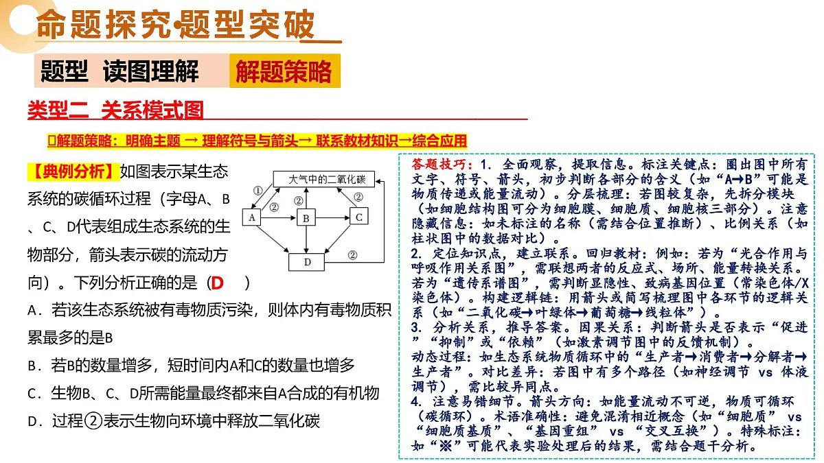 题型01+读图理解（精讲课件） 2025年中考生物二轮复习讲练测（全国通用）第6页