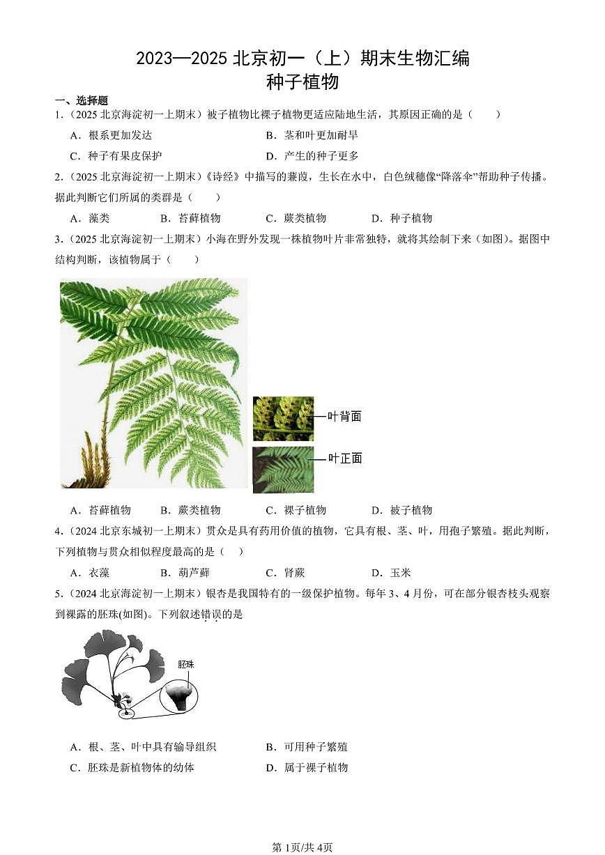 2023—2025北京初一（上）期末真题生物汇编：种子植物第1页