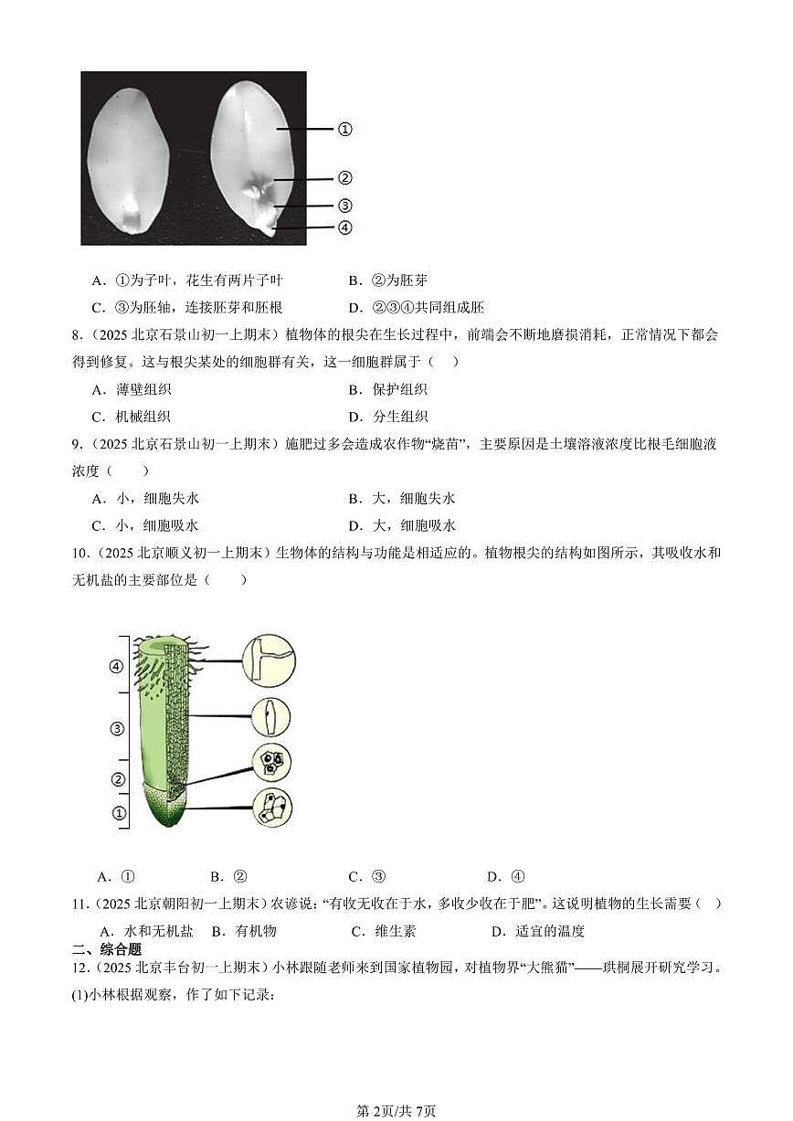 2025北京初一（上）期末真题生物汇编：被子植物的一生章节综合第2页