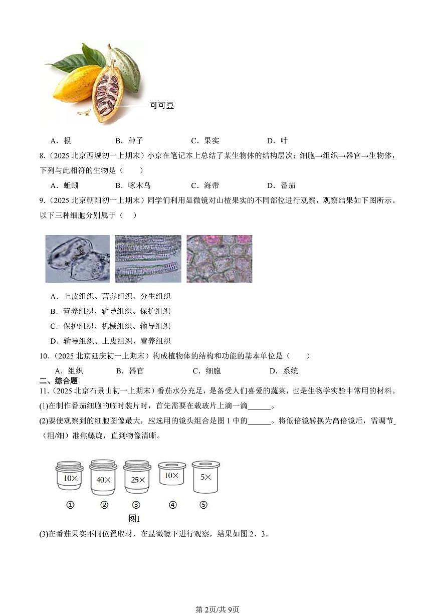 2025北京初一（上）期末真题生物汇编：植物体的结构层次第2页