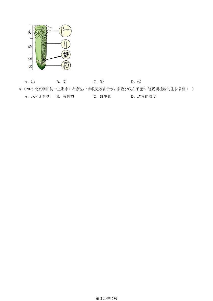 2025北京初一（上）期末真题生物汇编：植株的生长第2页