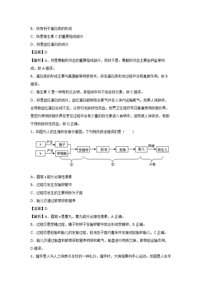 备战2025年中考模拟卷08（辽宁专用）生物（解析版）第3页