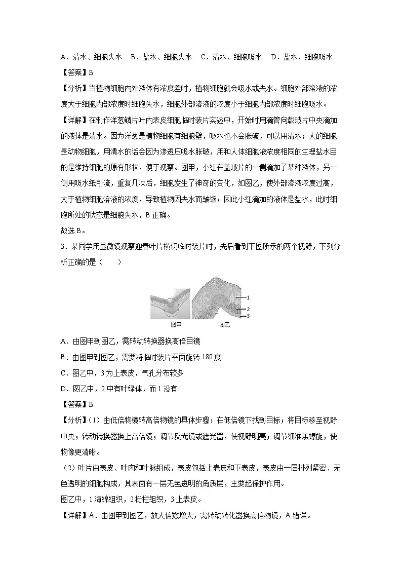 备战2025年中考模拟卷04（北京专用）生物（解析版）第2页