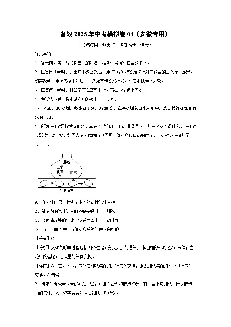 备战2025年中考模拟卷04（安徽专用）生物（解析版）第1页