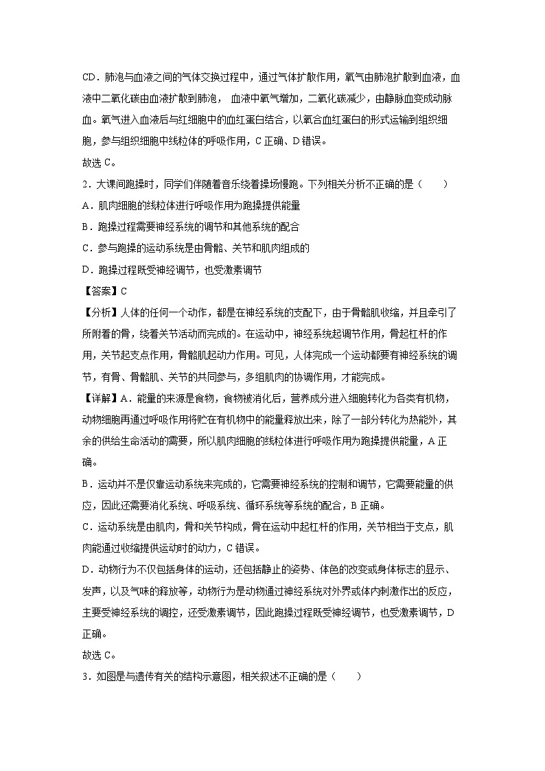 备战2025年中考模拟卷04（安徽专用）生物（解析版）第2页