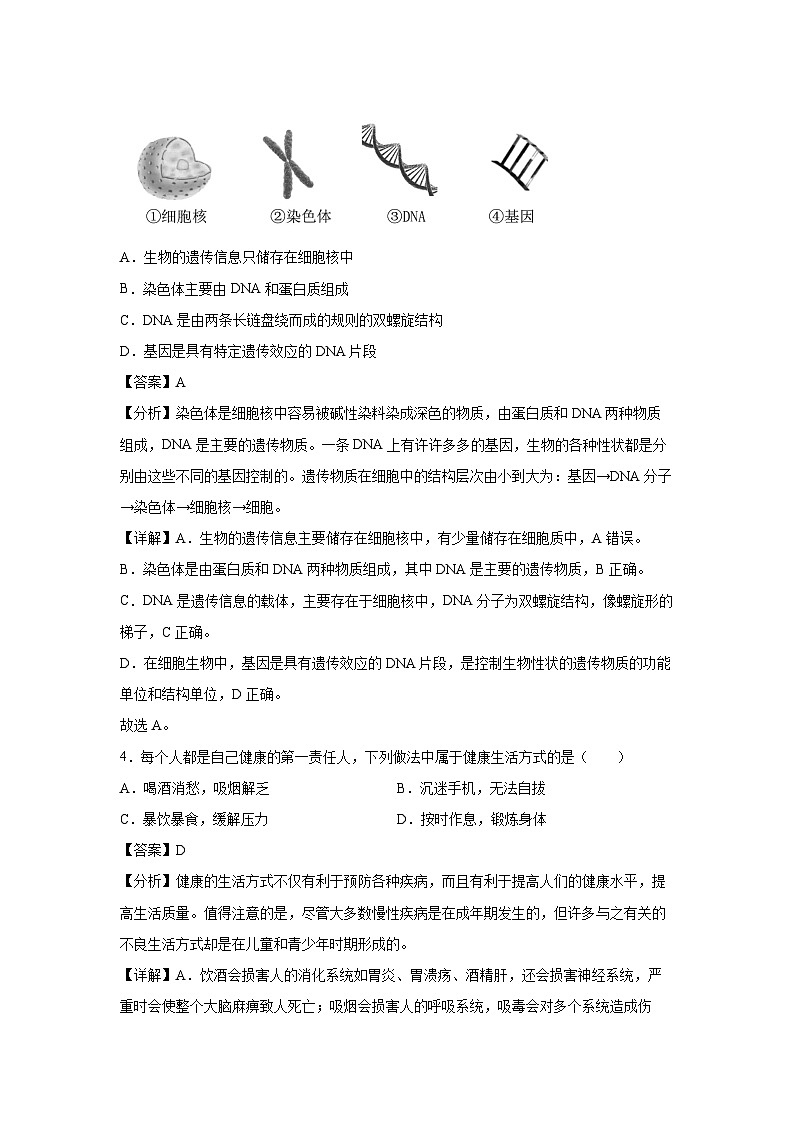 备战2025年中考模拟卷04（安徽专用）生物（解析版）第3页