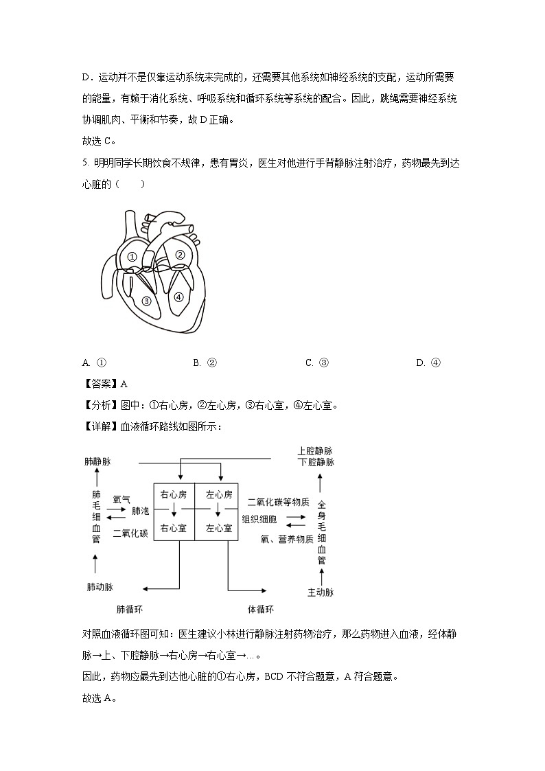 2025年辽宁省沈阳市沈河区中考模拟预测生物试题（解析版）第3页