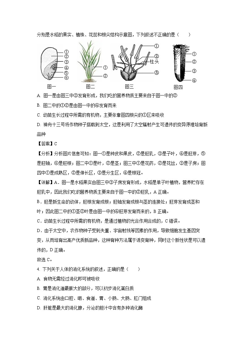 2025年辽宁省丹东市凤城市八年级一模生物试题（解析版）第3页
