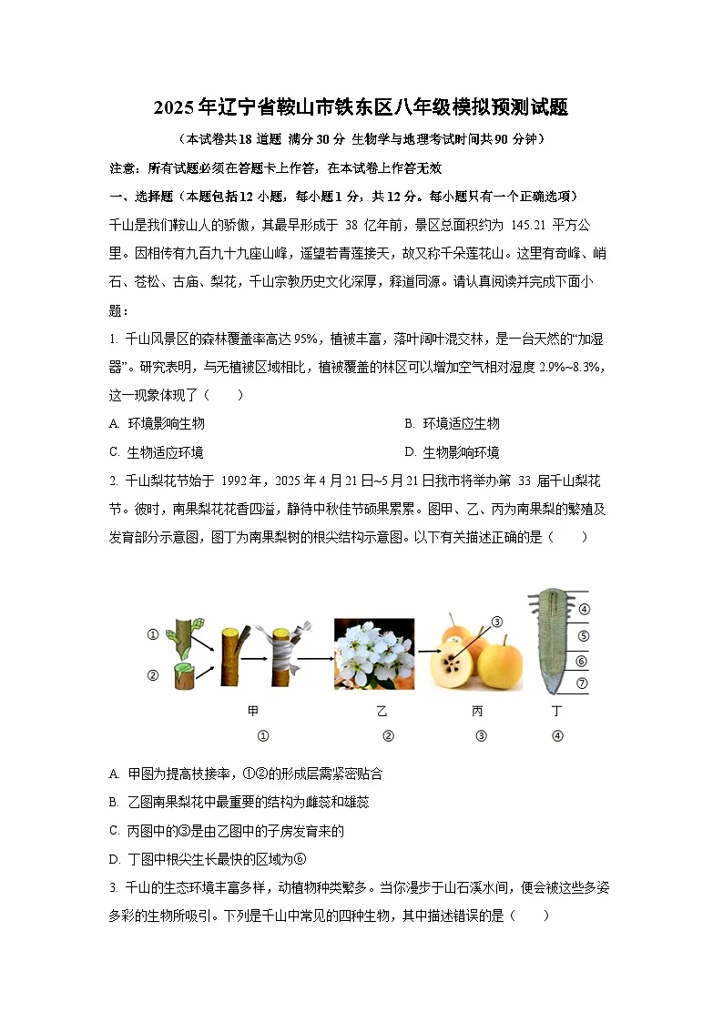 2025年辽宁省鞍山市铁东区八年级模拟预测生物试题（解析版）第1页