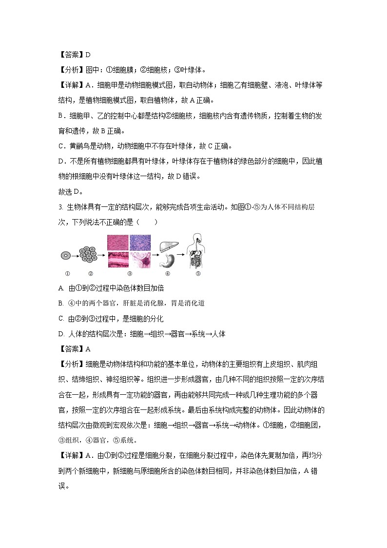 2025年四川省宜城市中考一模生物试题（解析版）第2页