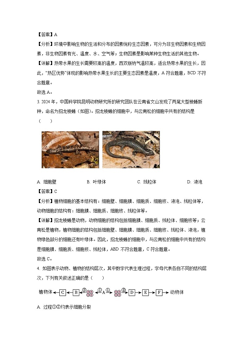 2025年云南省楚雄彝族自治州楚雄市八年级二模生物试题（解析版）第2页