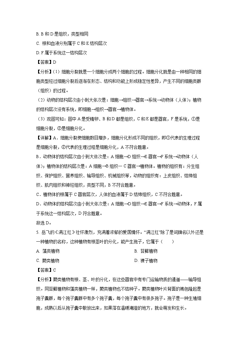2025年云南省楚雄彝族自治州楚雄市八年级二模生物试题（解析版）第3页
