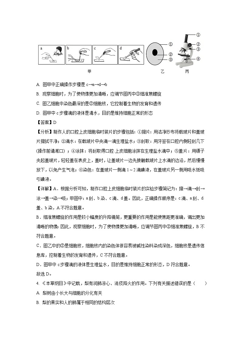 2025年四川省绵阳市北川县八年级中考一模生物试题（解析版）第2页