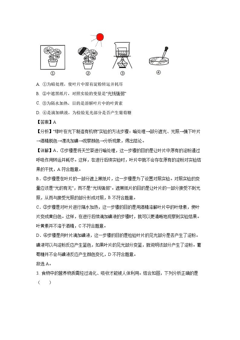 2025年山东省泰安市东平县中考一模生物试题（解析版）第2页