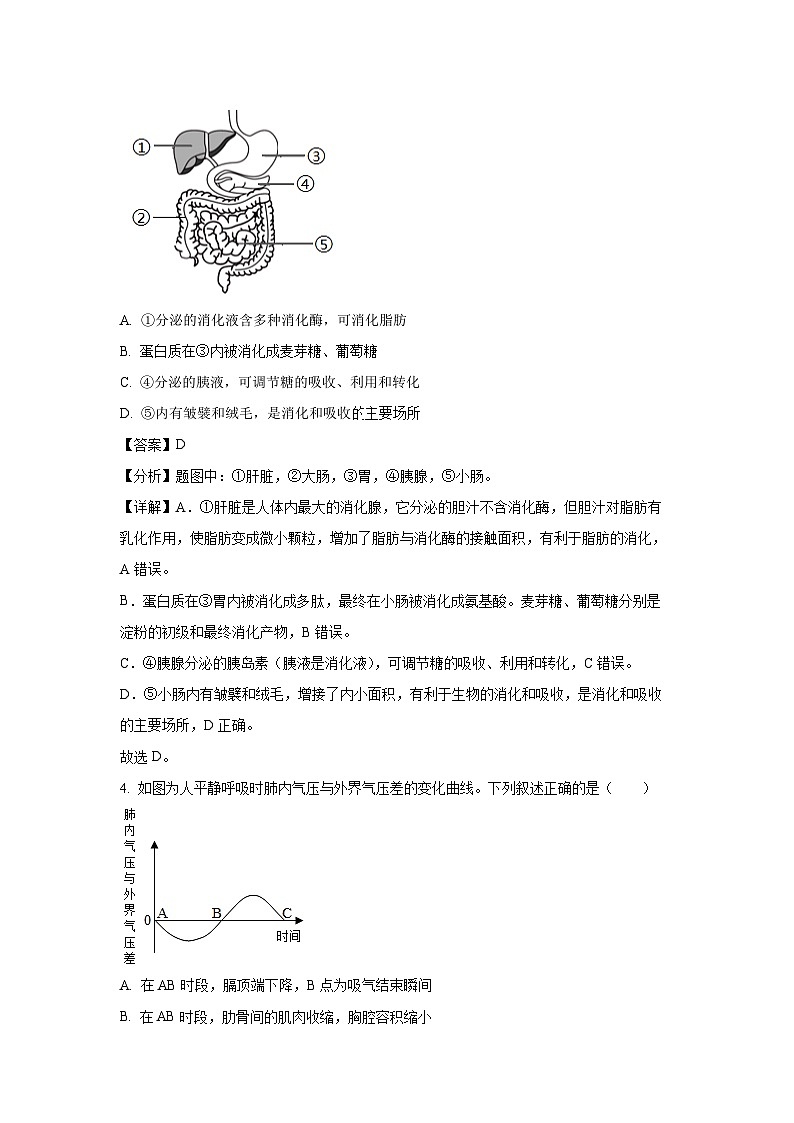 2025年山东省泰安市东平县中考一模生物试题（解析版）第3页