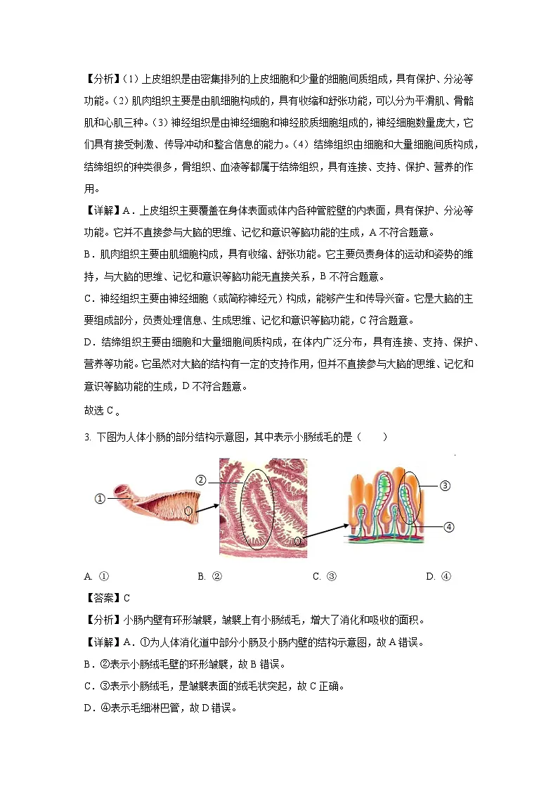 2025年山东省临清市中考一模生物试题（解析版）第2页