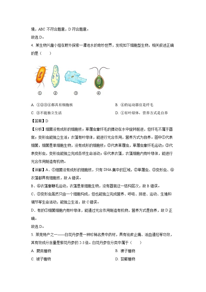 2025年山东省济南市莱芜区八年级中考一模生物试题（解析版）第3页