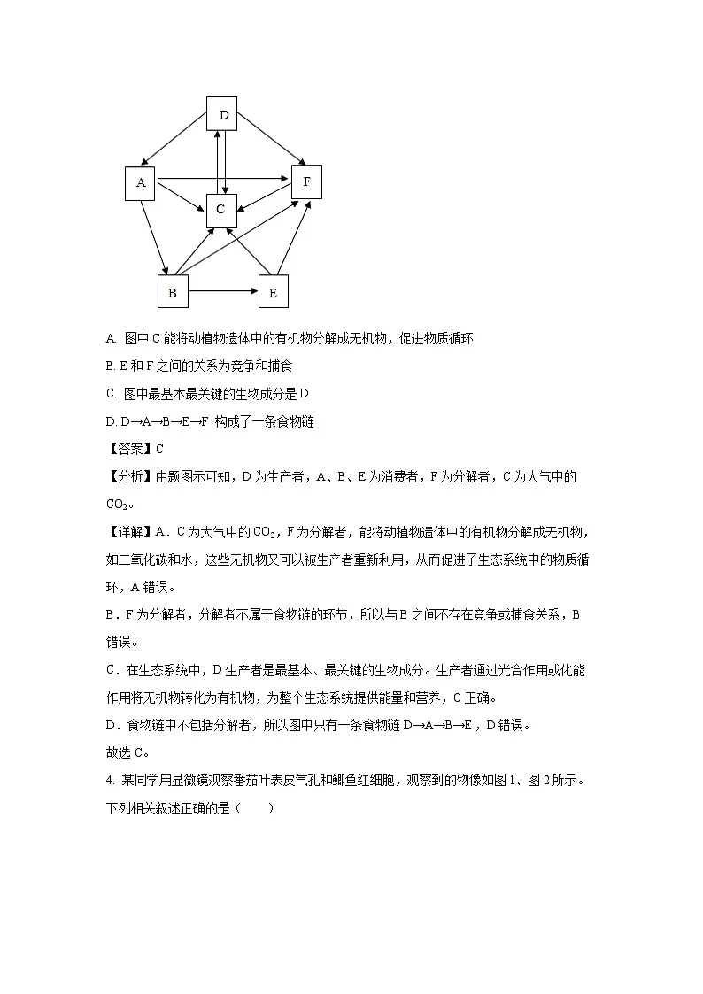2025年山东省东营市广饶县八年级中考一模生物试题（解析版）第3页