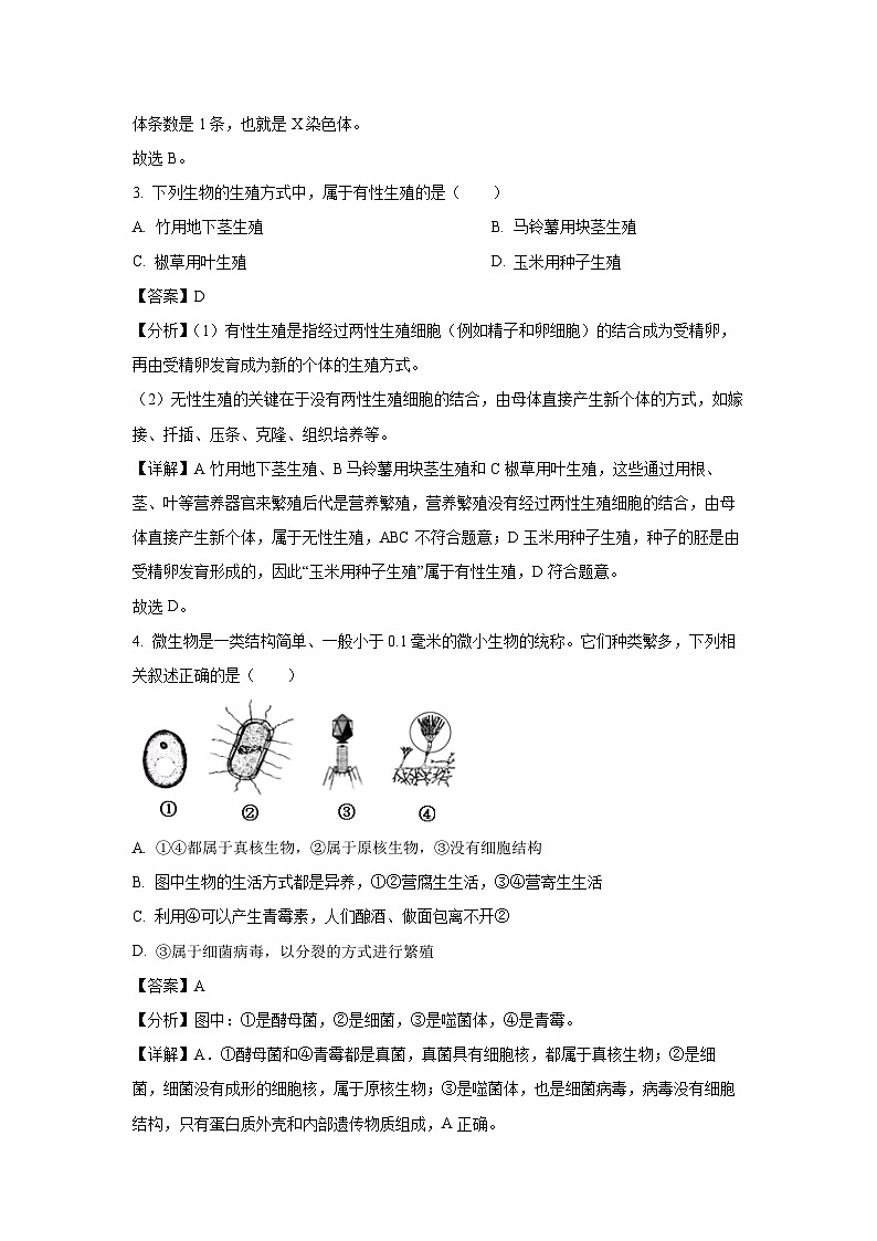 2025年江苏省盐城市大丰区八年级中考一模生物试题（解析版）第2页